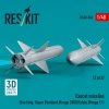 RESKIT RS48-0506 Exocet missiles (2 pcs) (3D Printed) 1/48